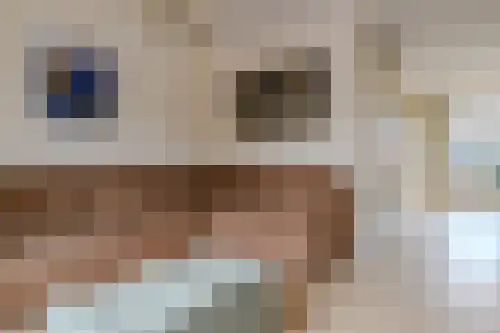 Doelen 49 Gennep thumbnail 10