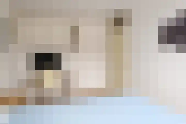 Doelen 49 Gennep thumbnail 29
