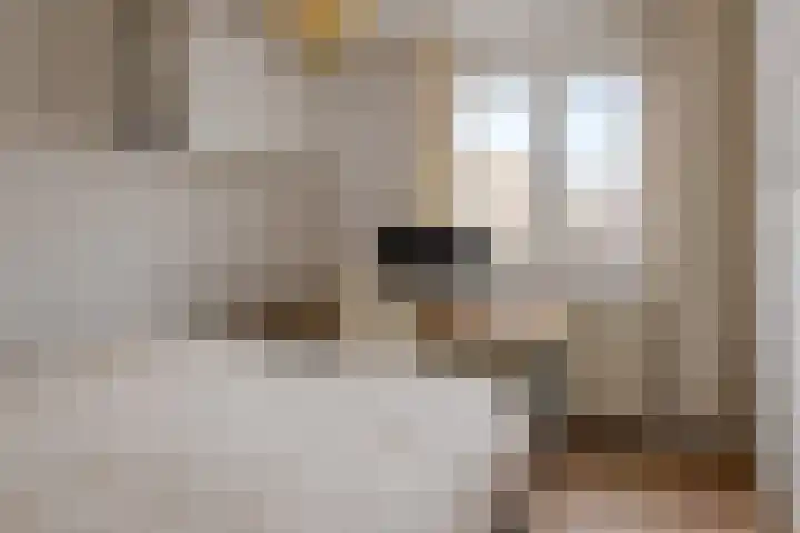Doelen 49 Gennep thumbnail 30