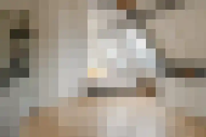 Doelen 49 Gennep thumbnail 34