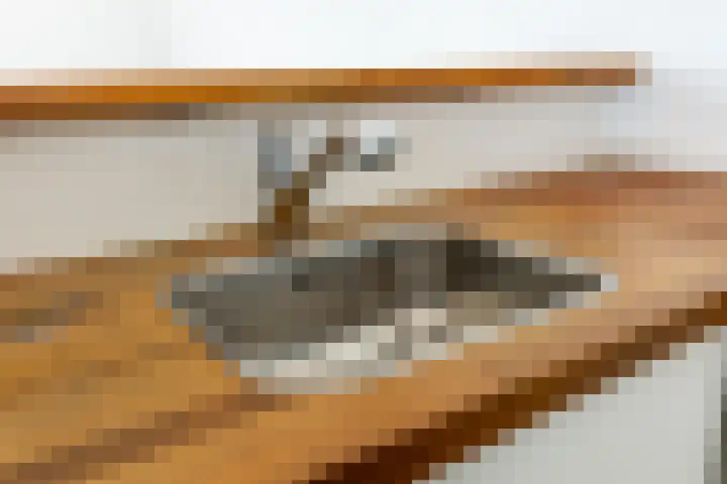 Doelen 90 Breda thumbnail 24