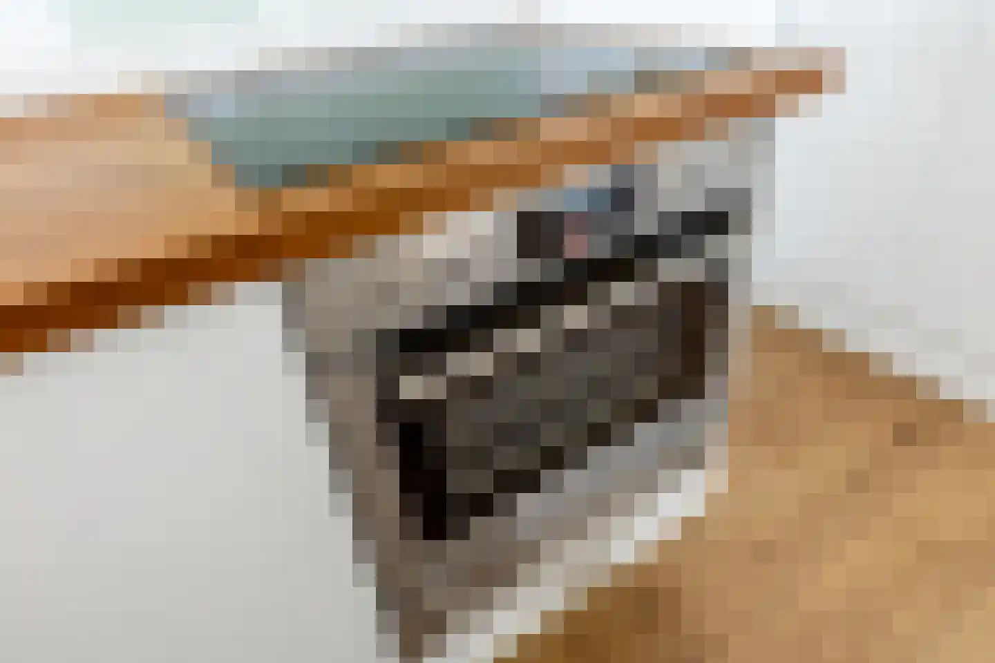 Doelen 90 Breda thumbnail 26
