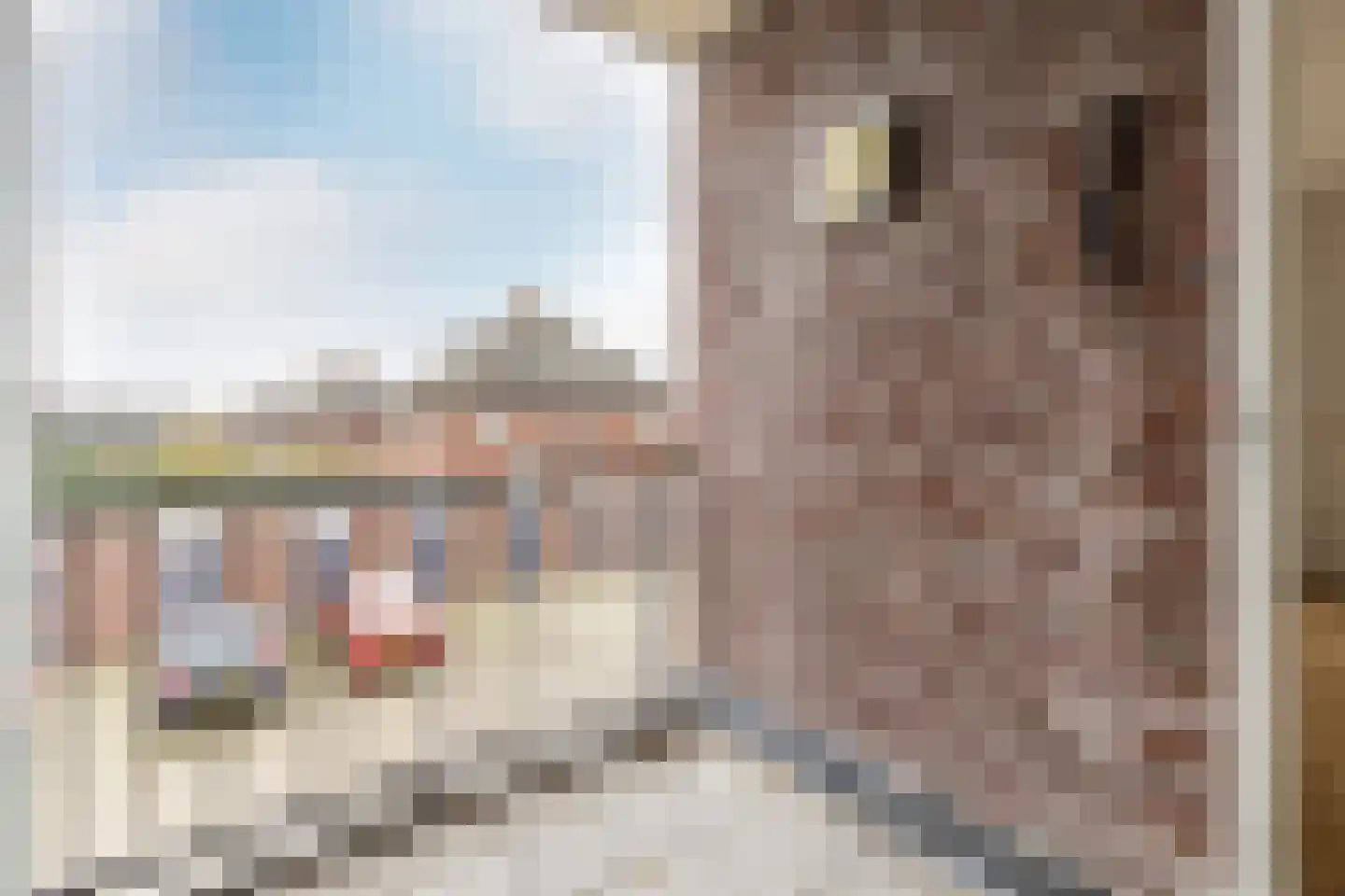 Doelen 90 Breda thumbnail 30