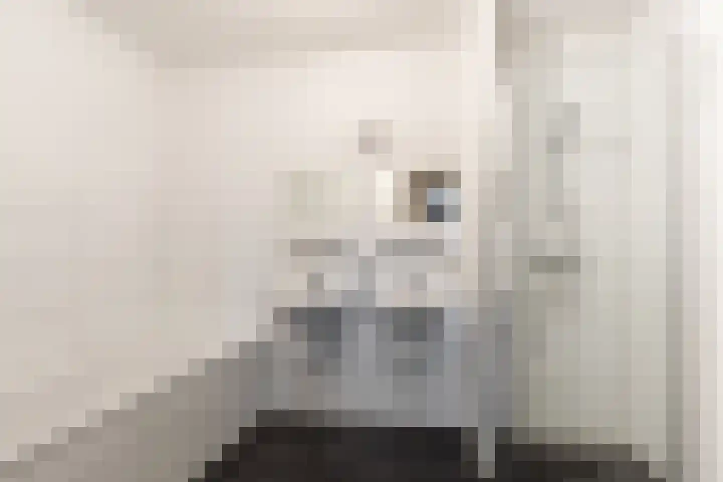 Doelen 90 Breda thumbnail 33