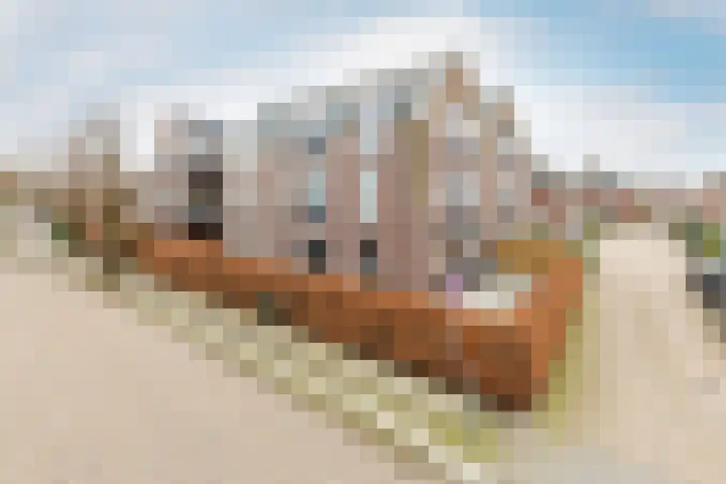 Doelen 90 Breda thumbnail 7