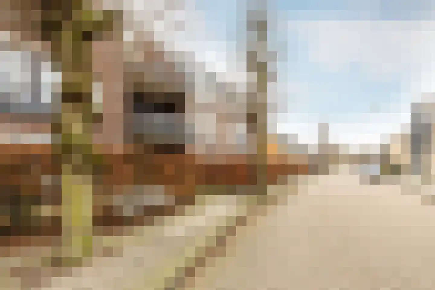 Doelen 90 Breda thumbnail 8