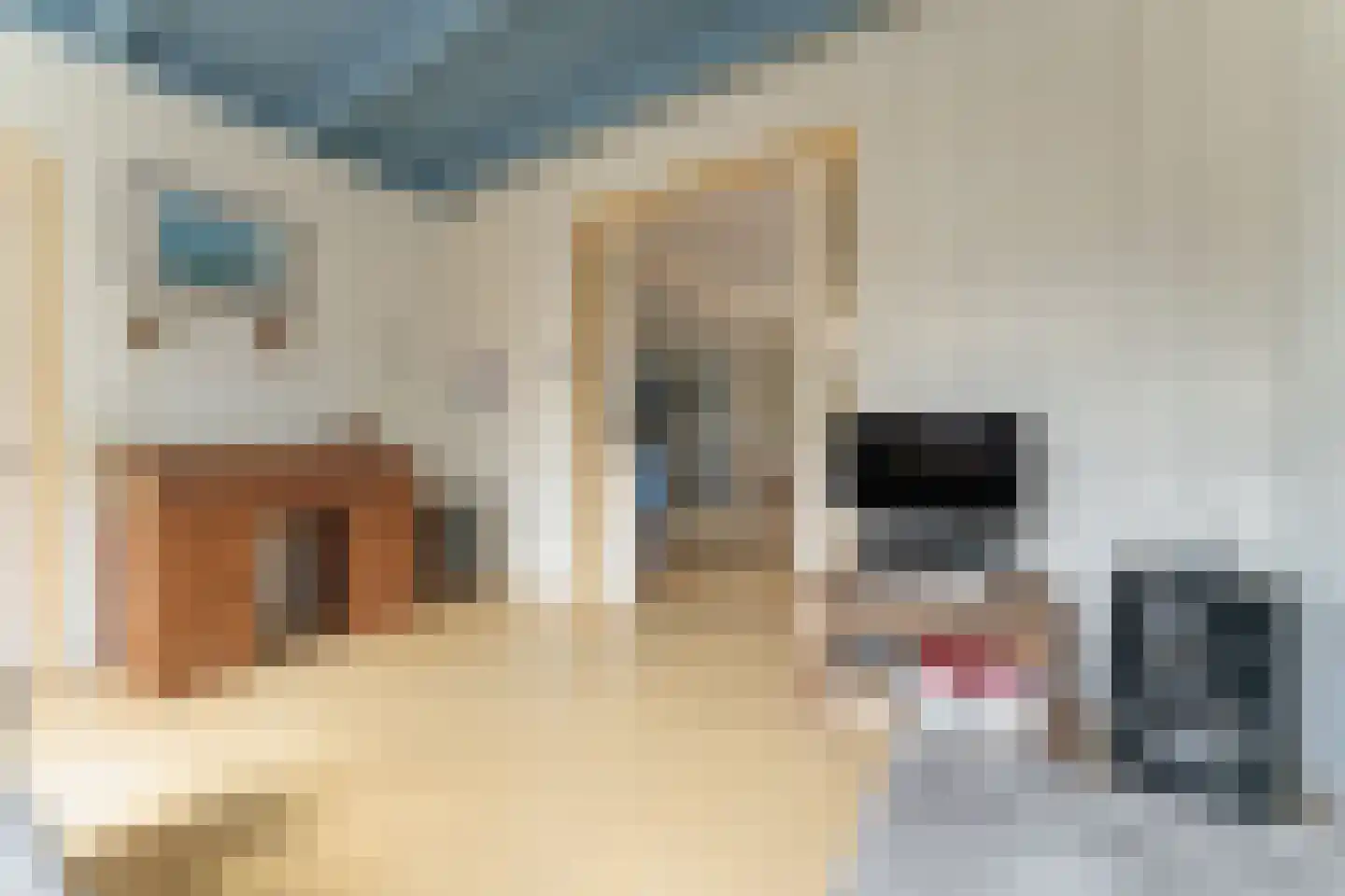 Doelenlaantje 24 Enkhuizen thumbnail 16