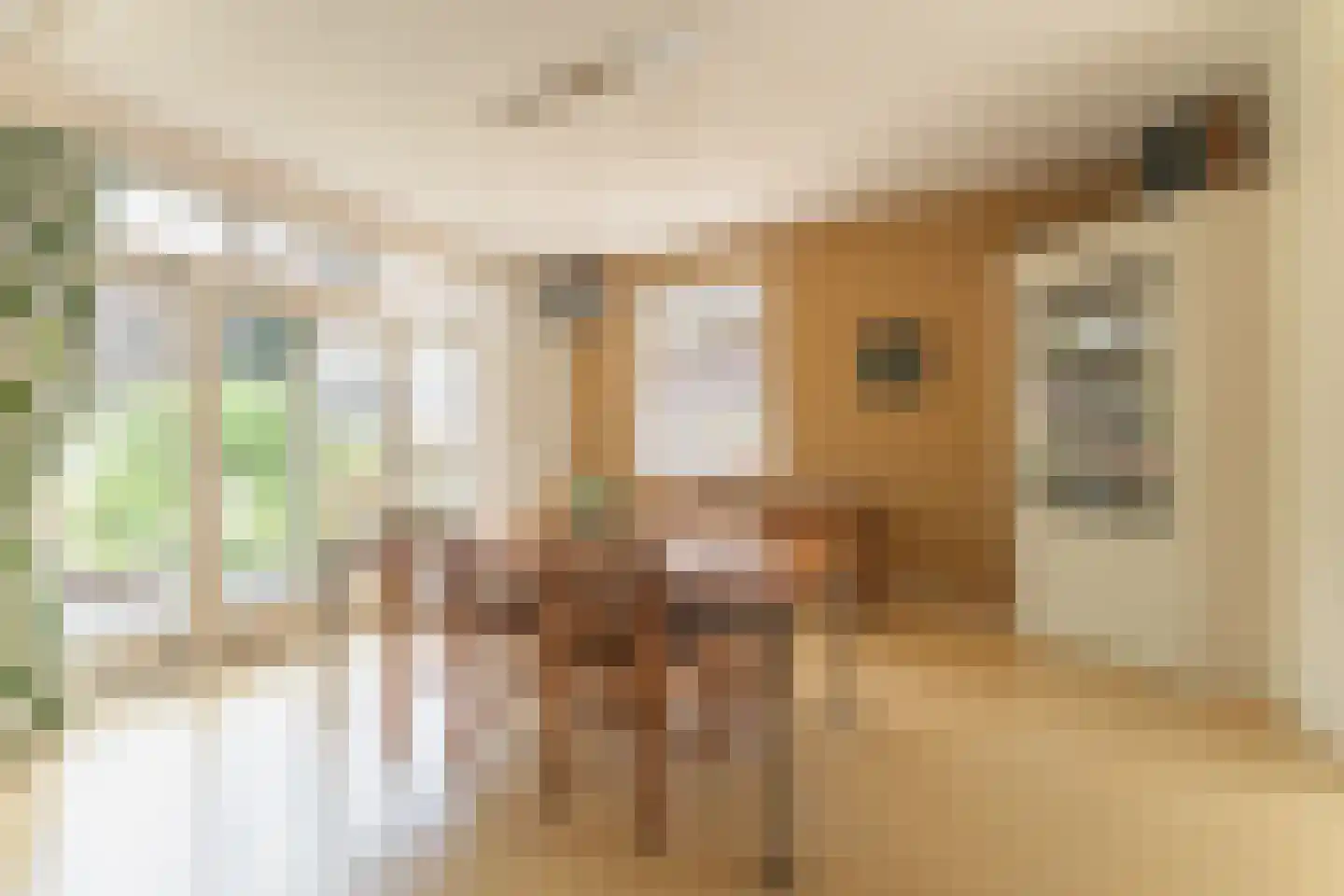 Doelenlaantje 24 Enkhuizen thumbnail 21