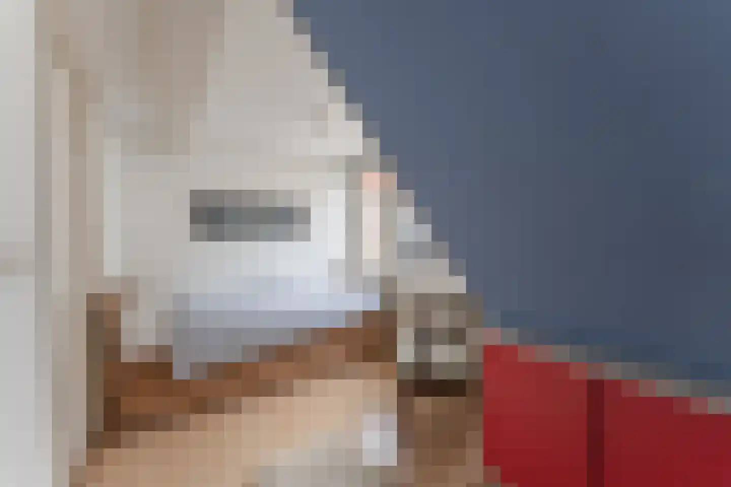 Doelenlaantje 24 Enkhuizen thumbnail 36