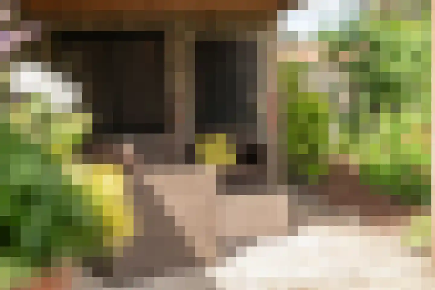 Doelenlaantje 24 Enkhuizen thumbnail 4