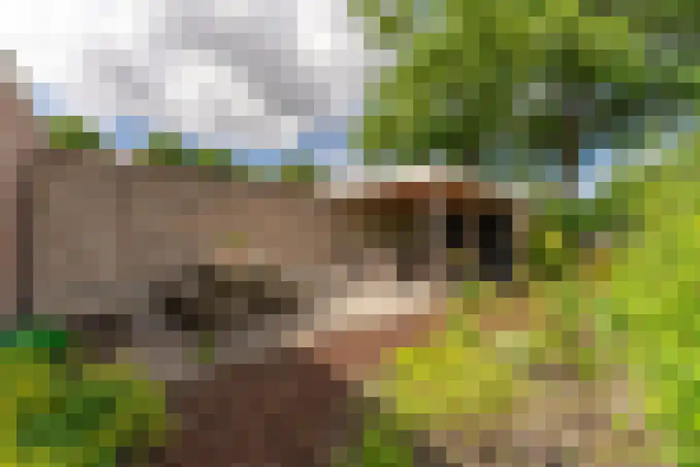 Doelenlaantje 24 Enkhuizen thumbnail 42