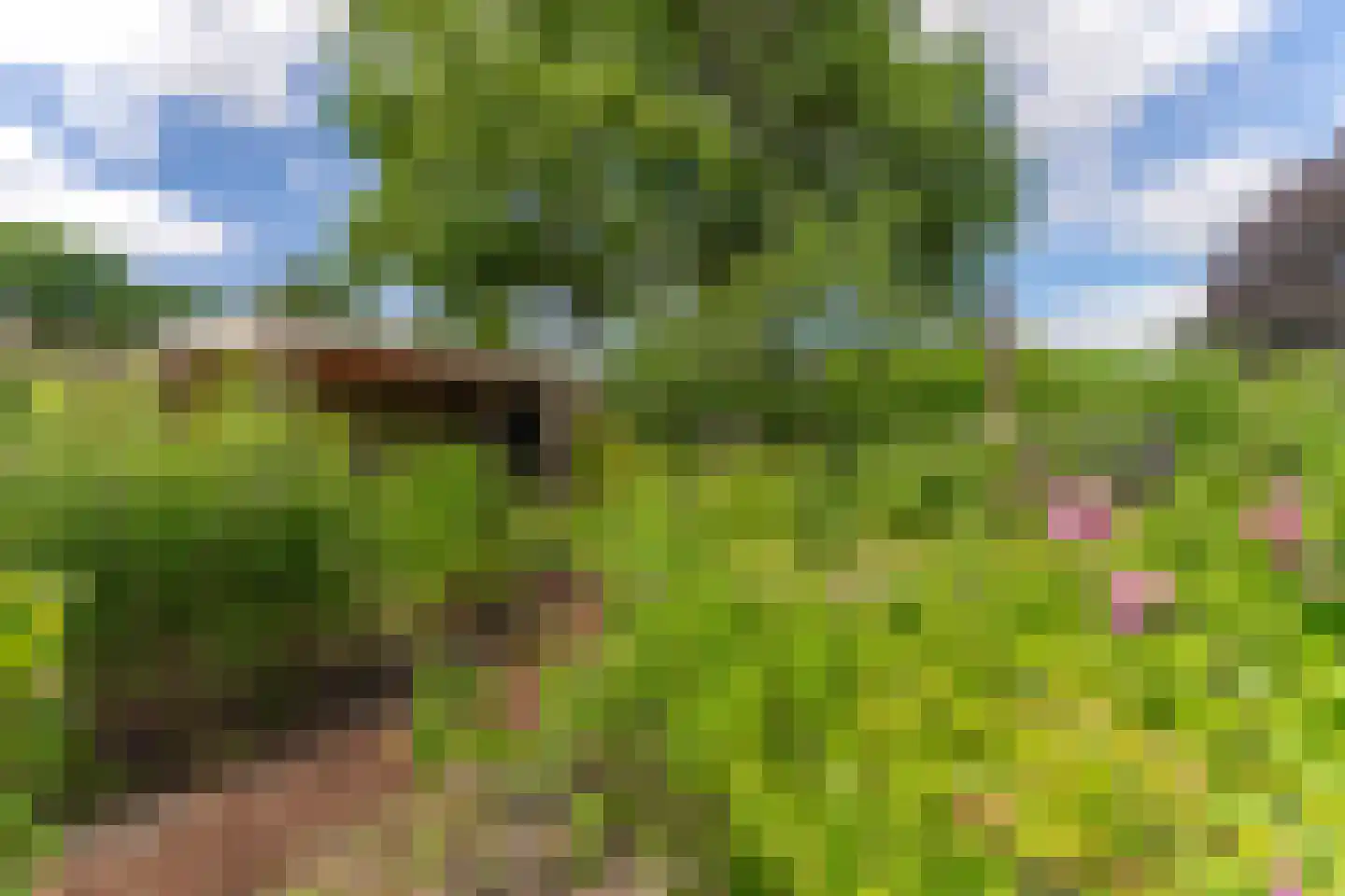 Doelenlaantje 24 Enkhuizen thumbnail 45