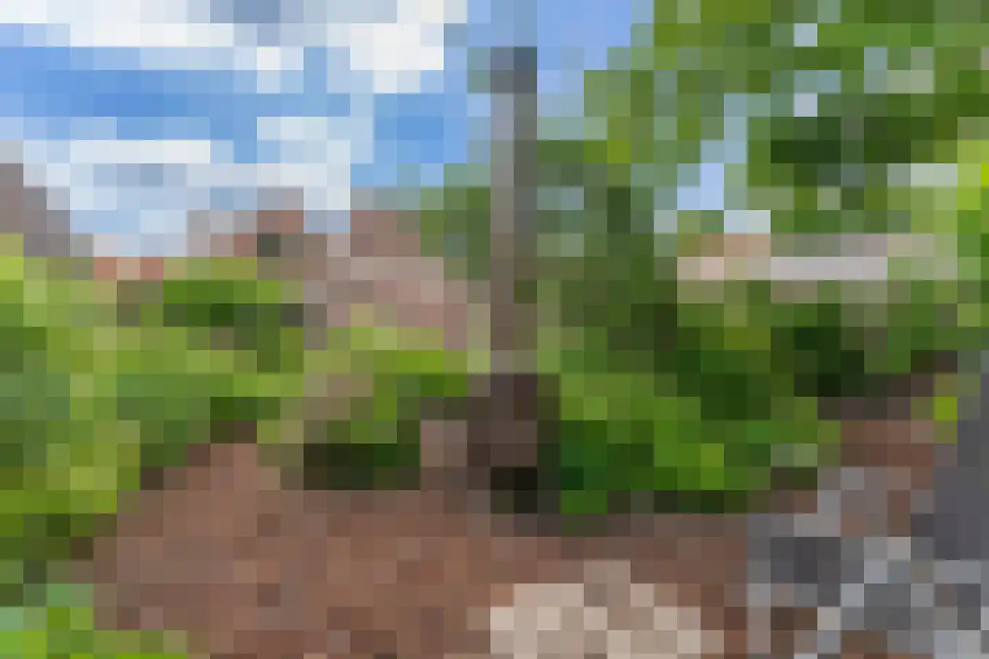 Doelenlaantje 24 Enkhuizen thumbnail 47