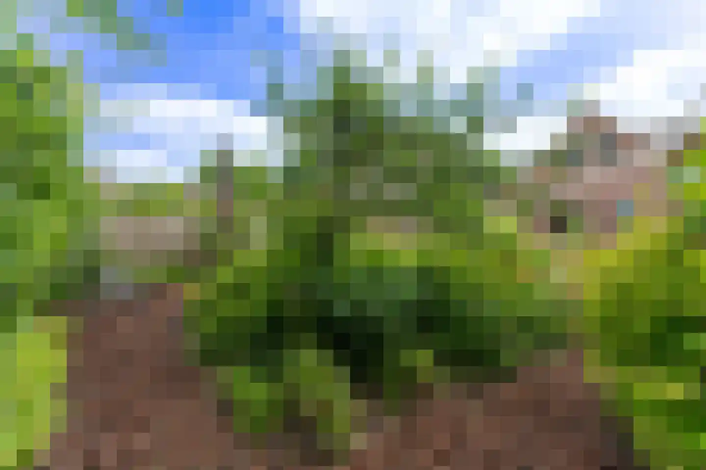 Doelenlaantje 24 Enkhuizen thumbnail 48