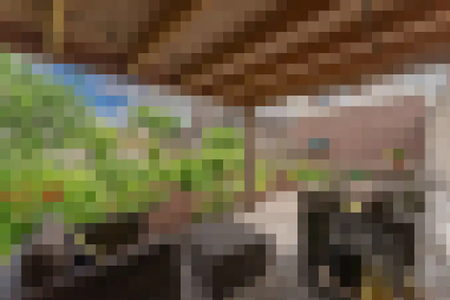 Doelenlaantje 24 Enkhuizen thumbnail 5