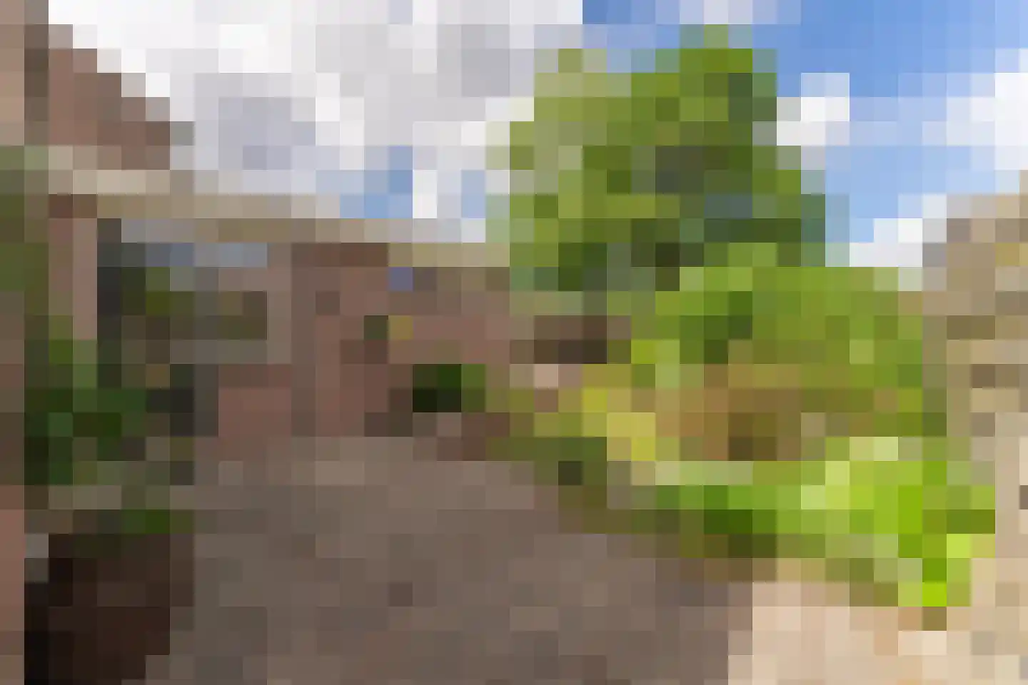 Doelenlaantje 24 Enkhuizen thumbnail 6
