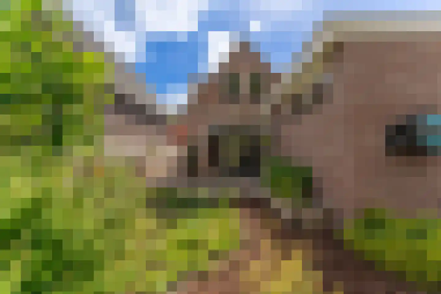 Doelenlaantje 24 Enkhuizen thumbnail 7
