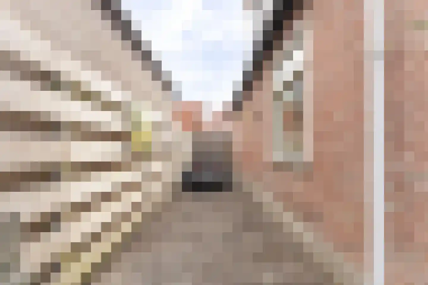 Doelenlaantje 24 Enkhuizen thumbnail 8