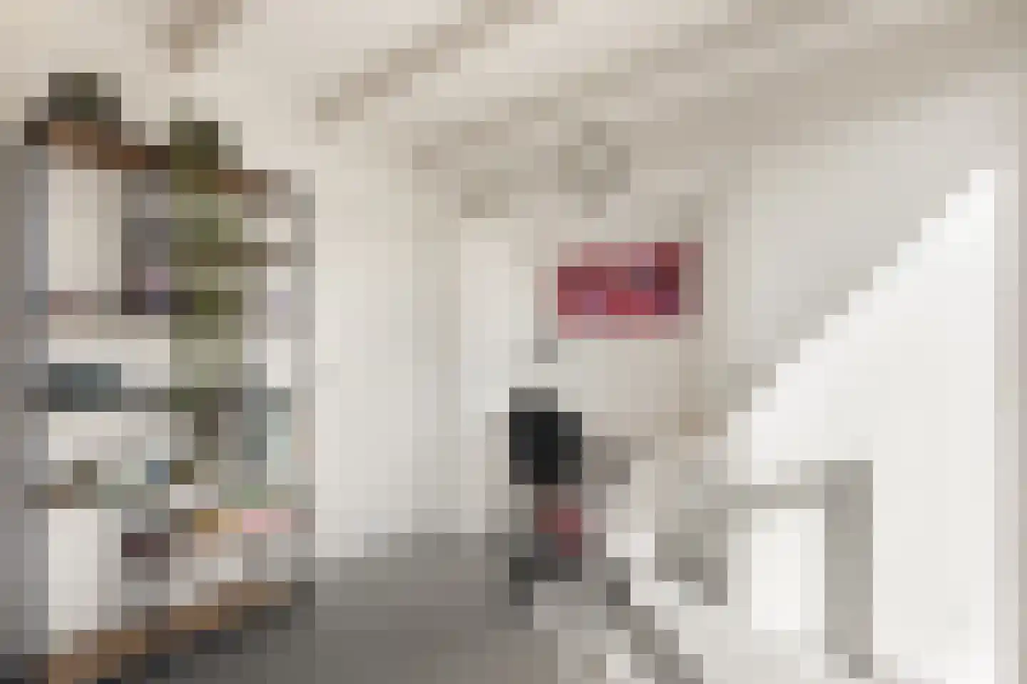 Doelenplein 10 Haarlem thumbnail 27