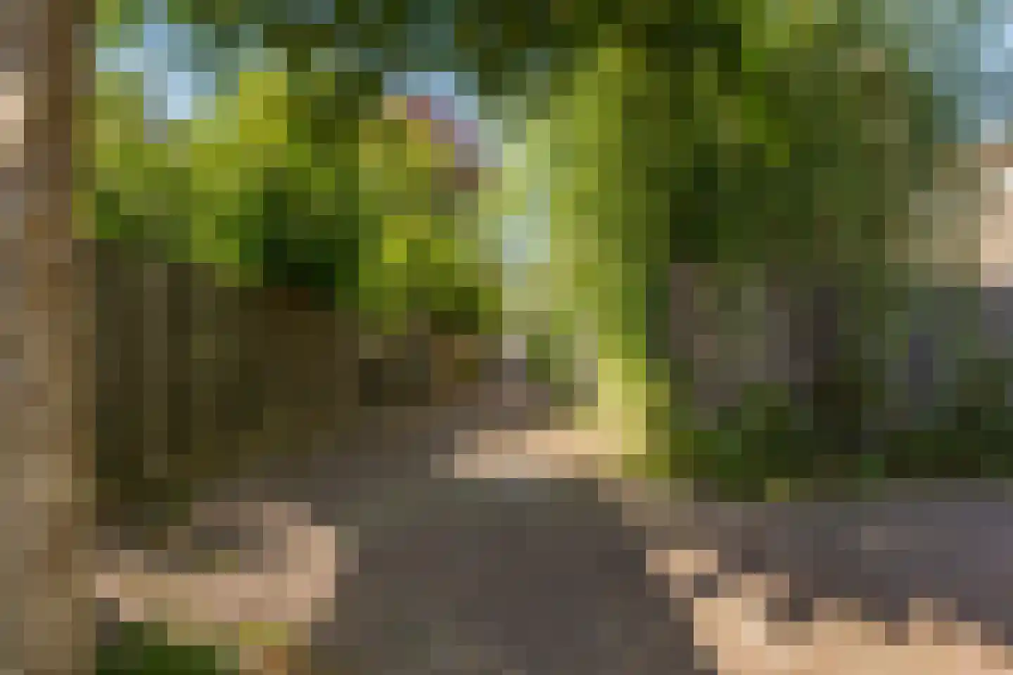 Doelenplein 10 Haarlem thumbnail 35