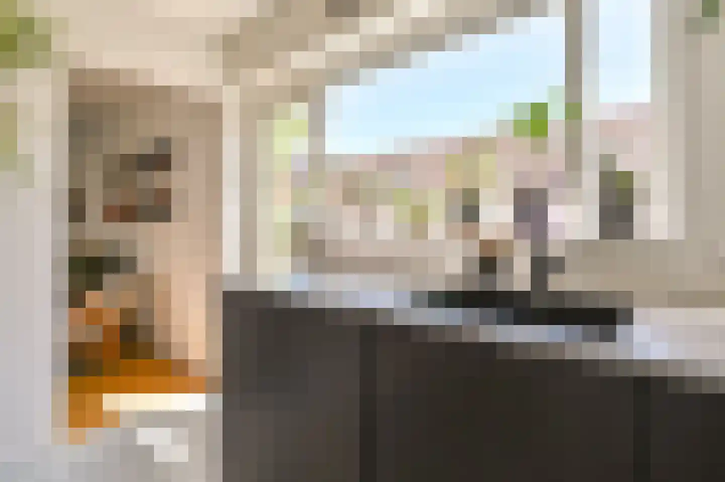Doelenplein 14 Haarlem thumbnail 11