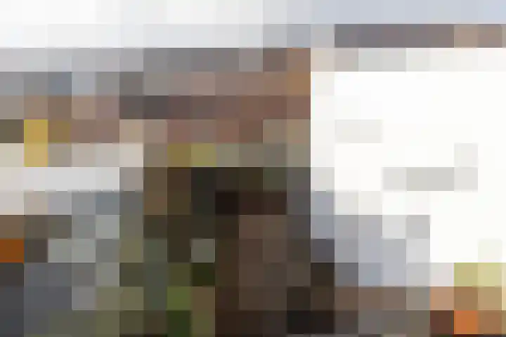 Doelenplein 25 Haarlem thumbnail 26