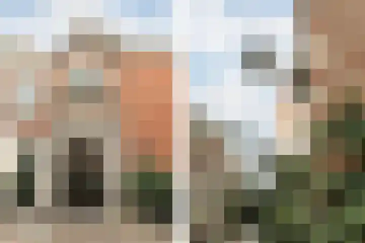 Doelenplein 25 Haarlem thumbnail 31