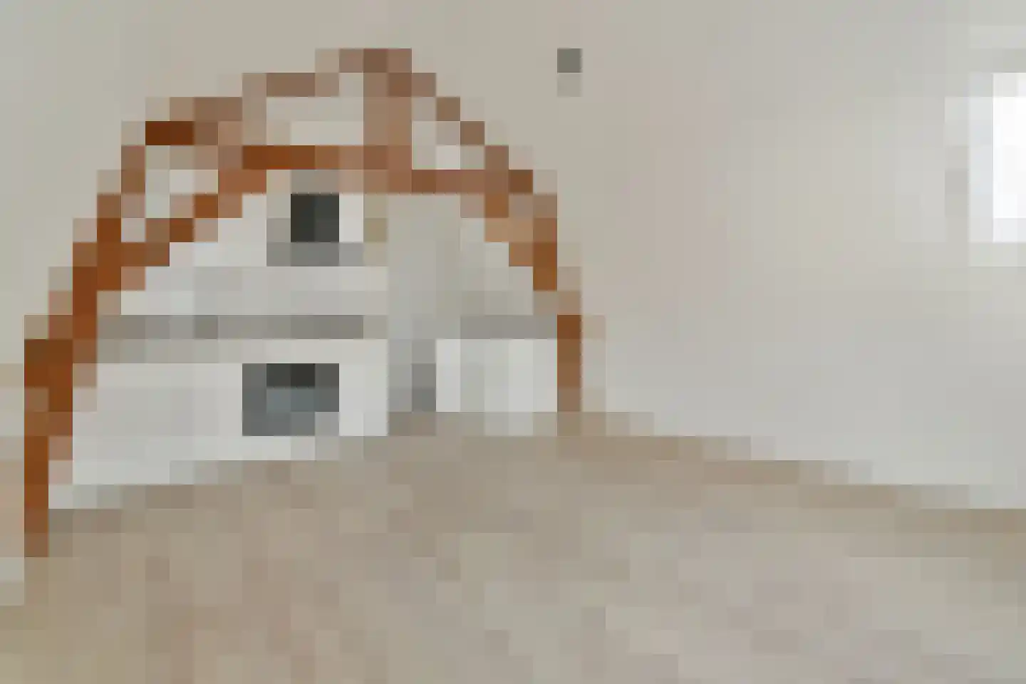 Doelensteeg 13 B Leiden thumbnail 9