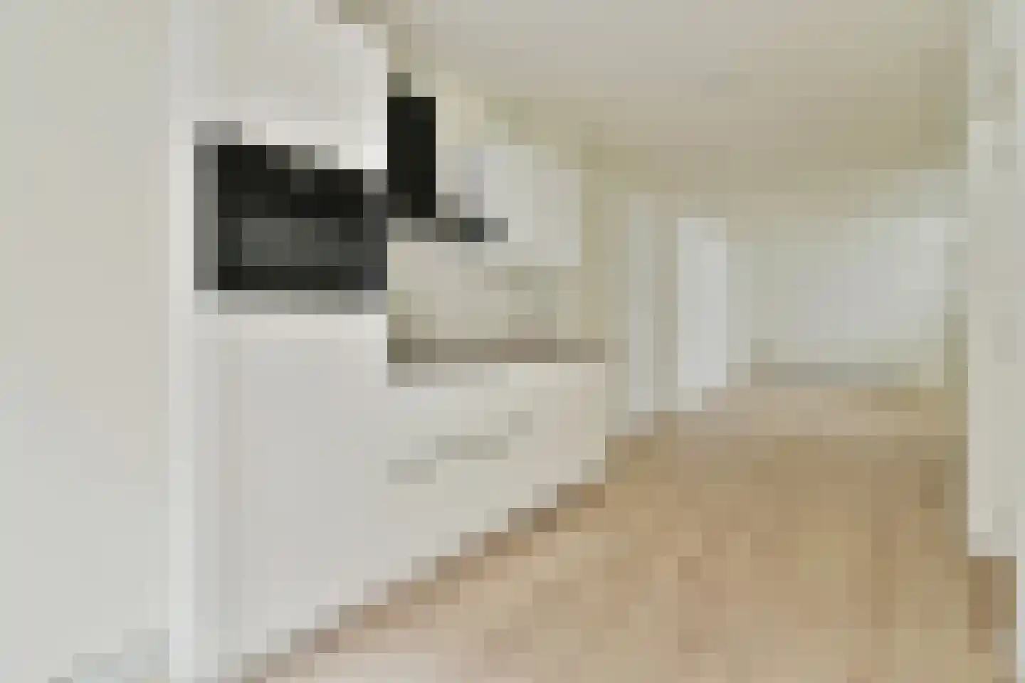 Doelensteeg 9 A Leiden thumbnail 4