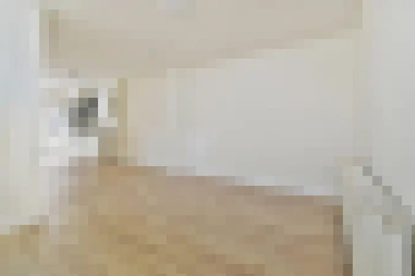 Doelensteeg 9 A Leiden thumbnail 8
