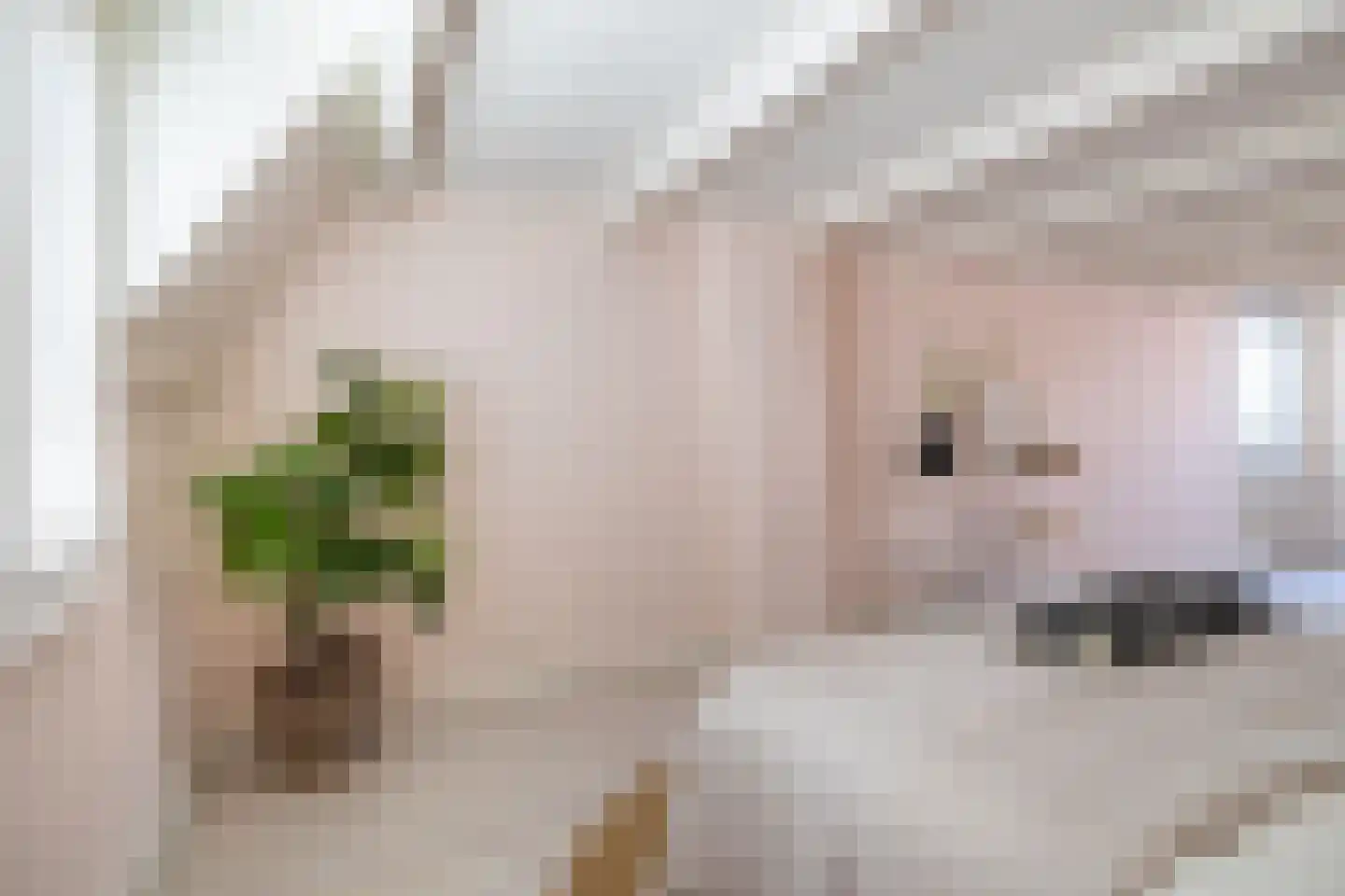Doelenstraat 1 Gouda thumbnail 29