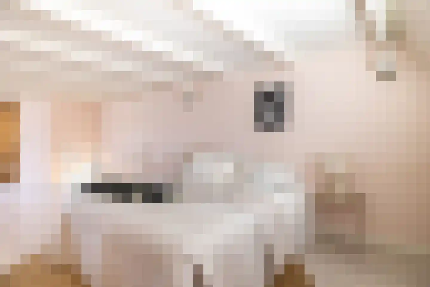 Doelenstraat 1 Gouda thumbnail 33