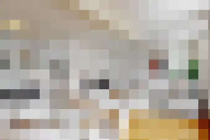 Doelenstraat 1 Utrecht thumbnail 10
