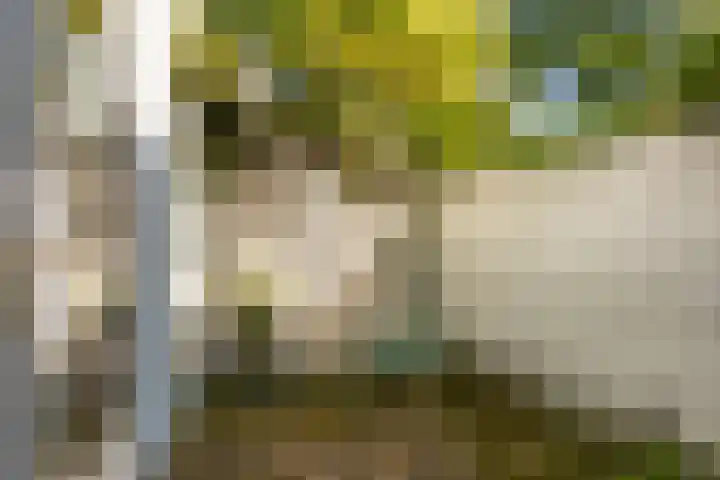 Doelenstraat 10 Utrecht thumbnail 11