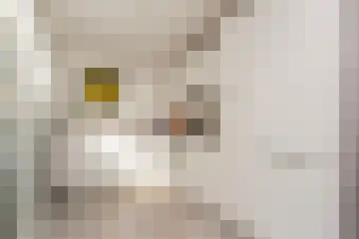 Doelenstraat 10 Utrecht thumbnail 19