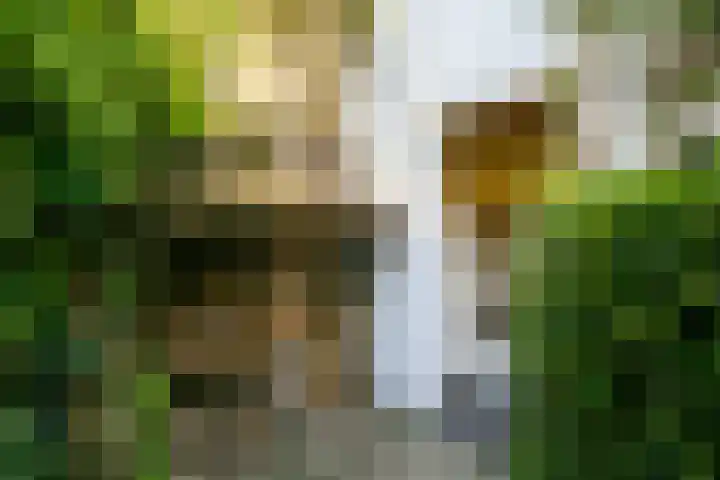 Doelenstraat 10 Utrecht thumbnail 5