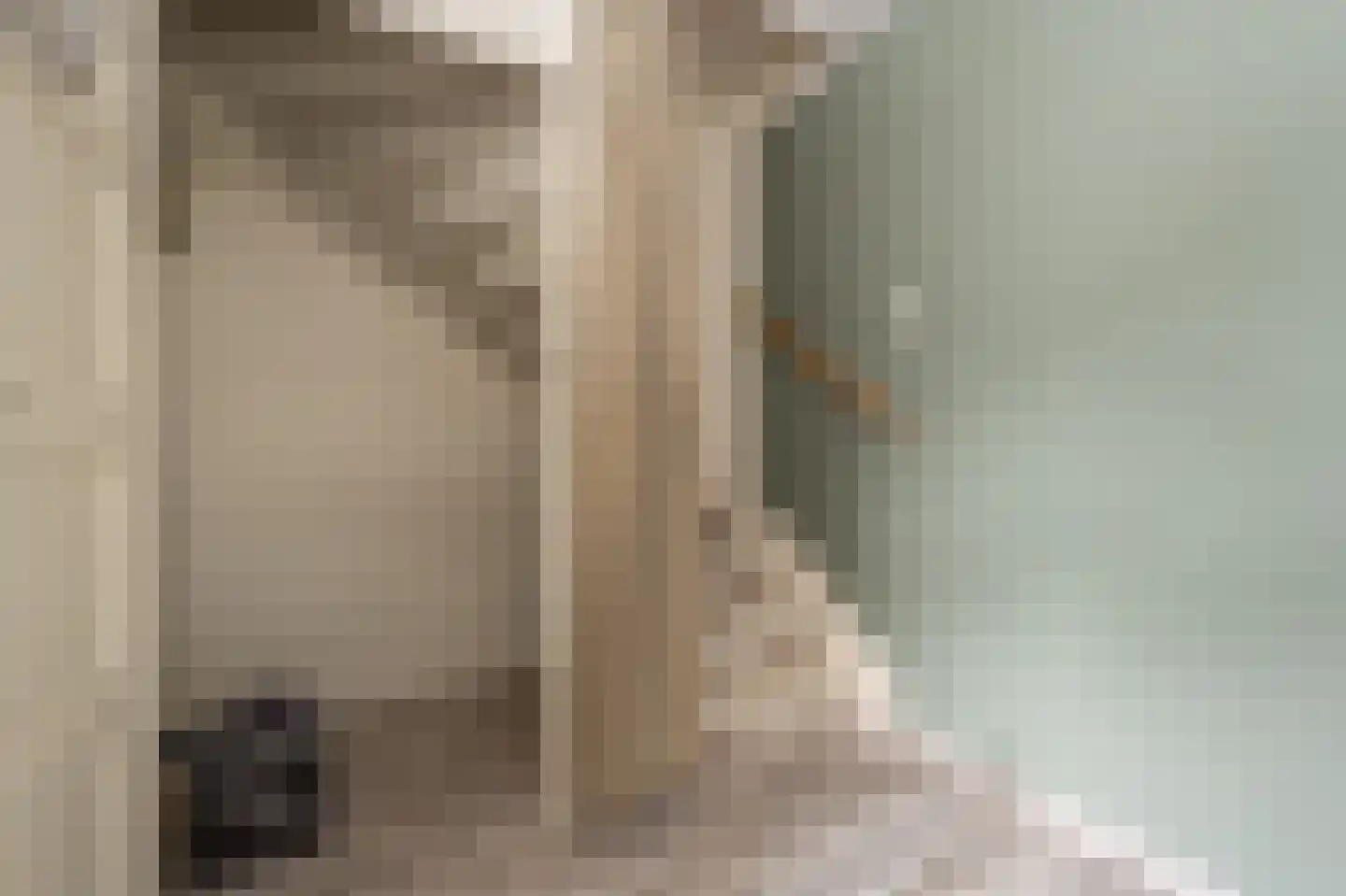 Doelenstraat 11 Mijnsheerenland thumbnail 12