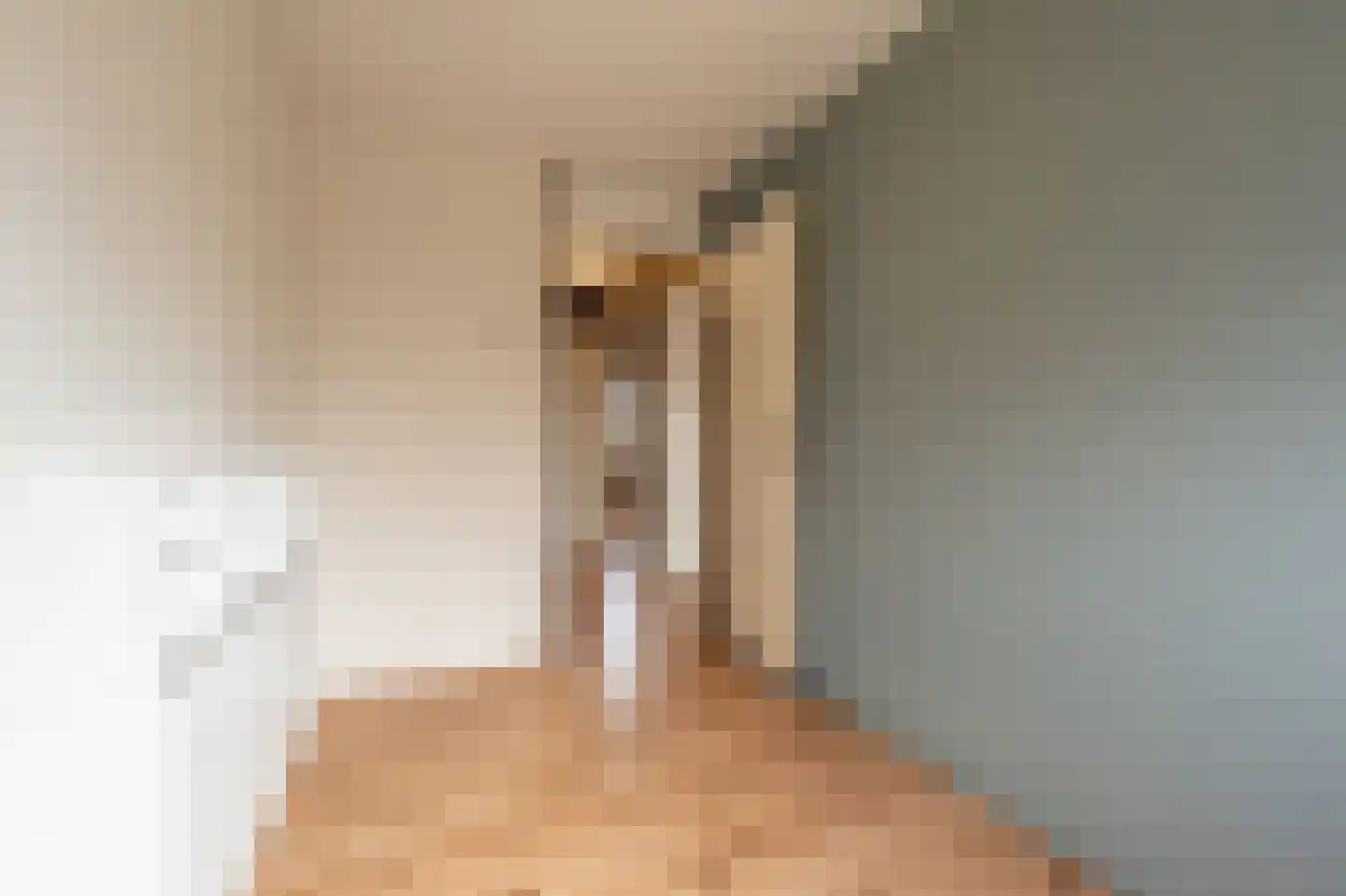 Doelenstraat 11 Mijnsheerenland thumbnail 13