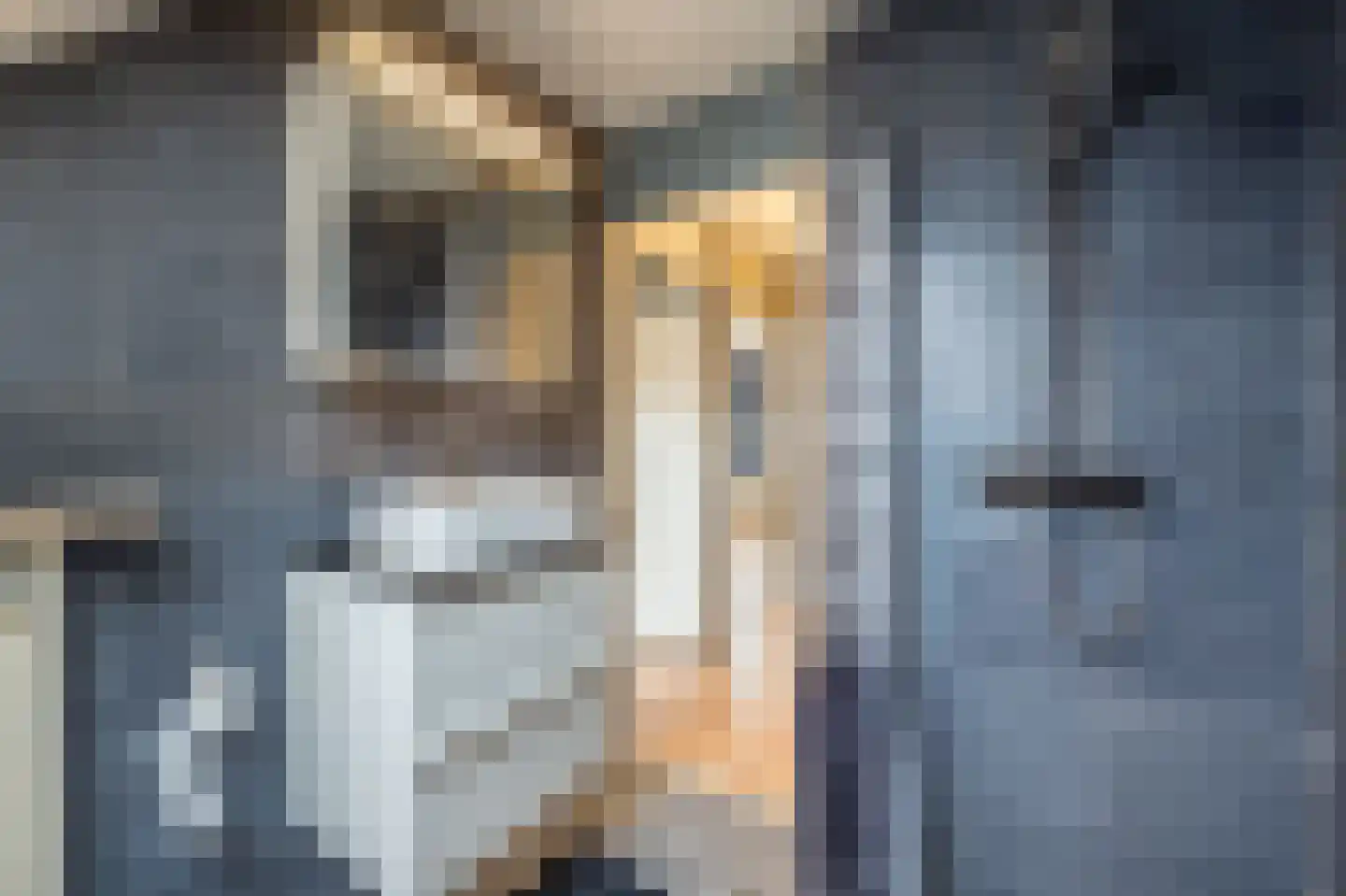 Doelenstraat 11 Mijnsheerenland thumbnail 19