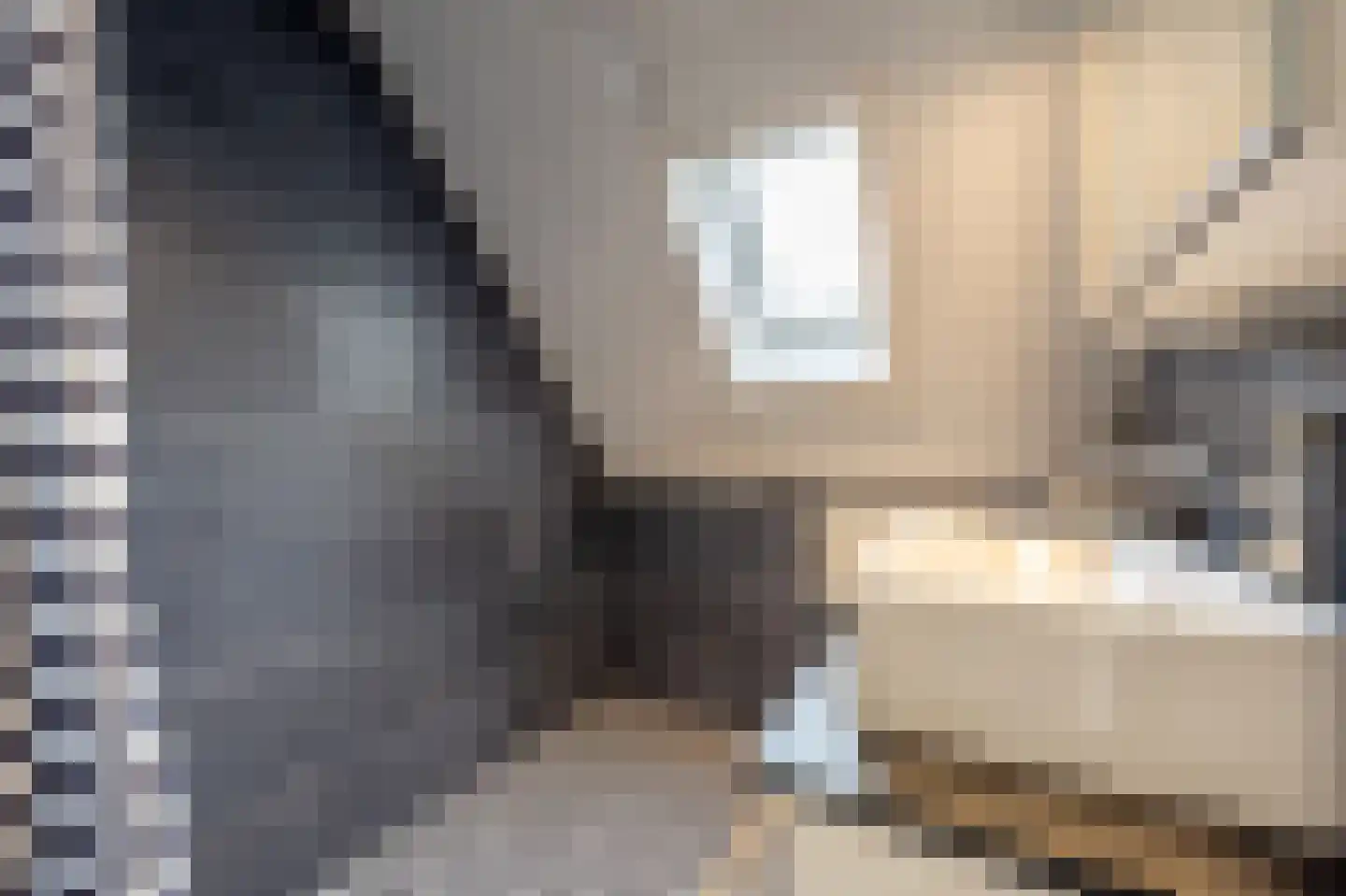 Doelenstraat 11 Mijnsheerenland thumbnail 20