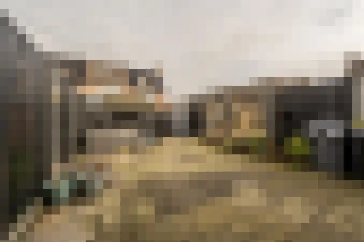 Doelenstraat 11 Mijnsheerenland thumbnail 26