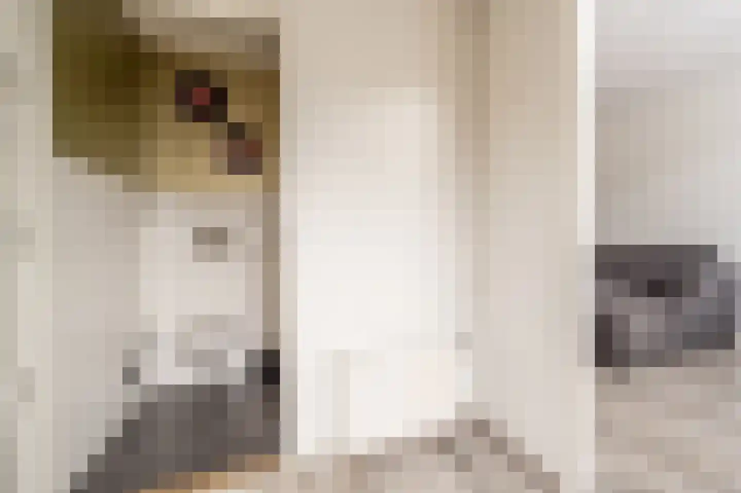 Doelenstraat 11 Mijnsheerenland thumbnail 5