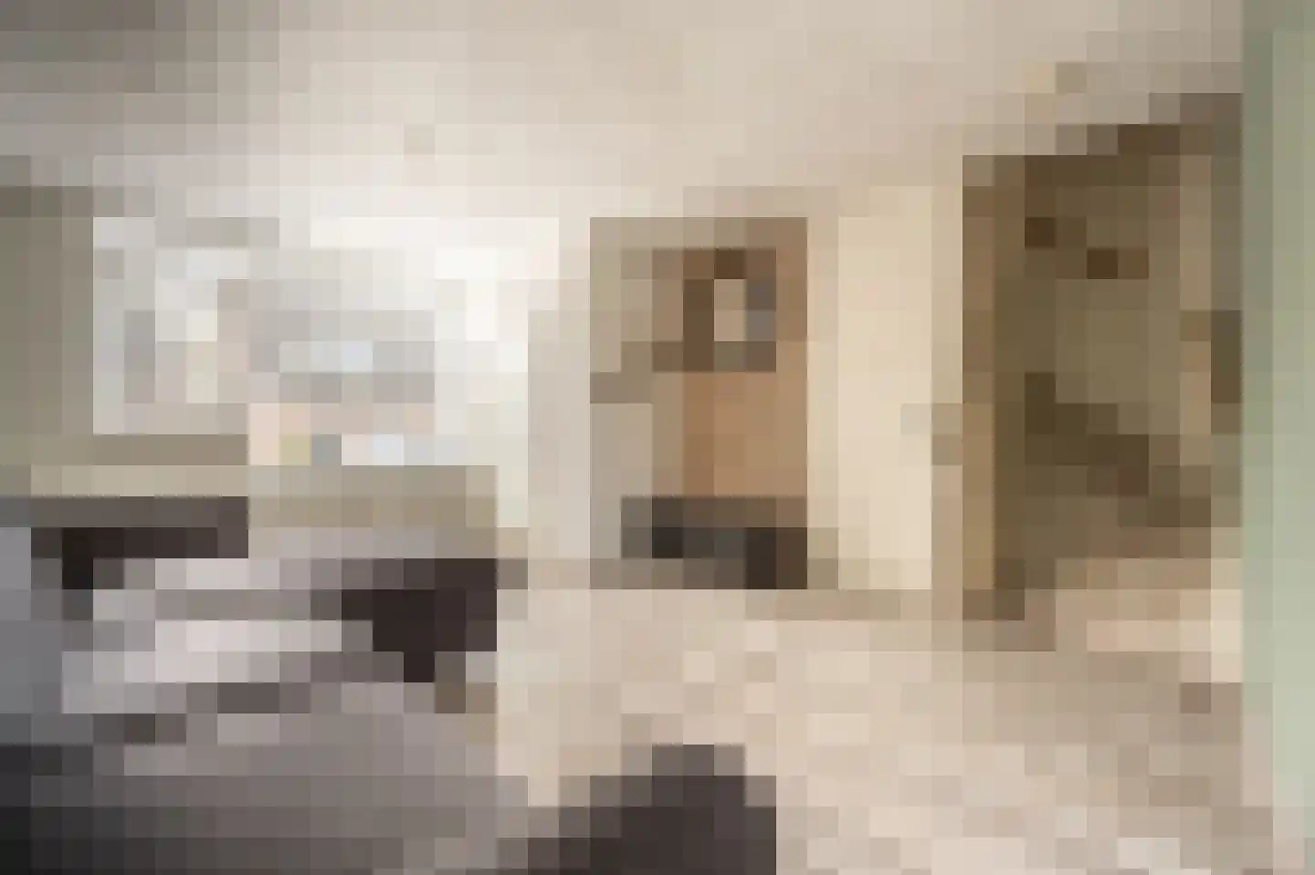 Doelenstraat 11 Mijnsheerenland thumbnail 7