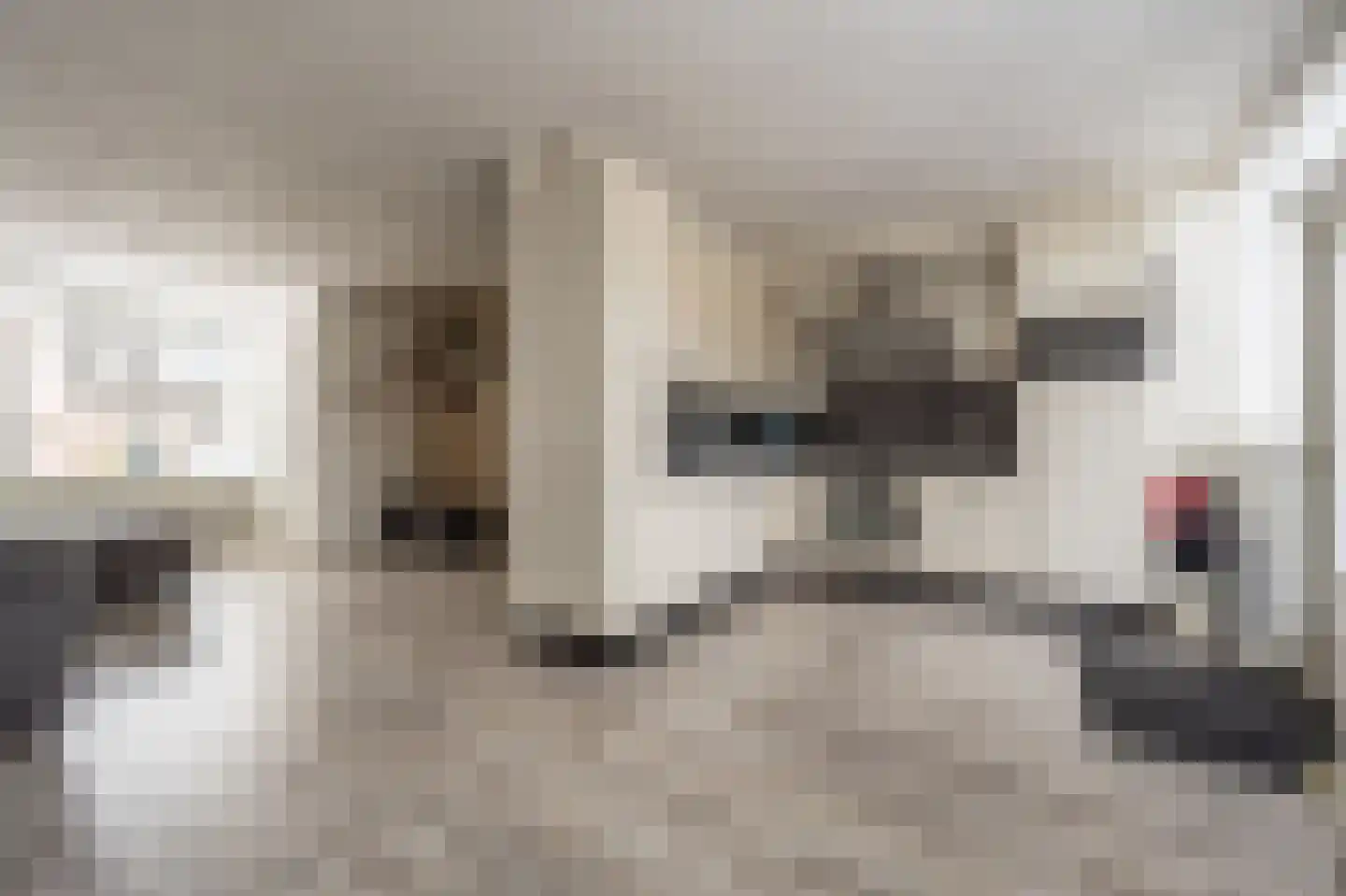 Doelenstraat 11 Mijnsheerenland thumbnail 9