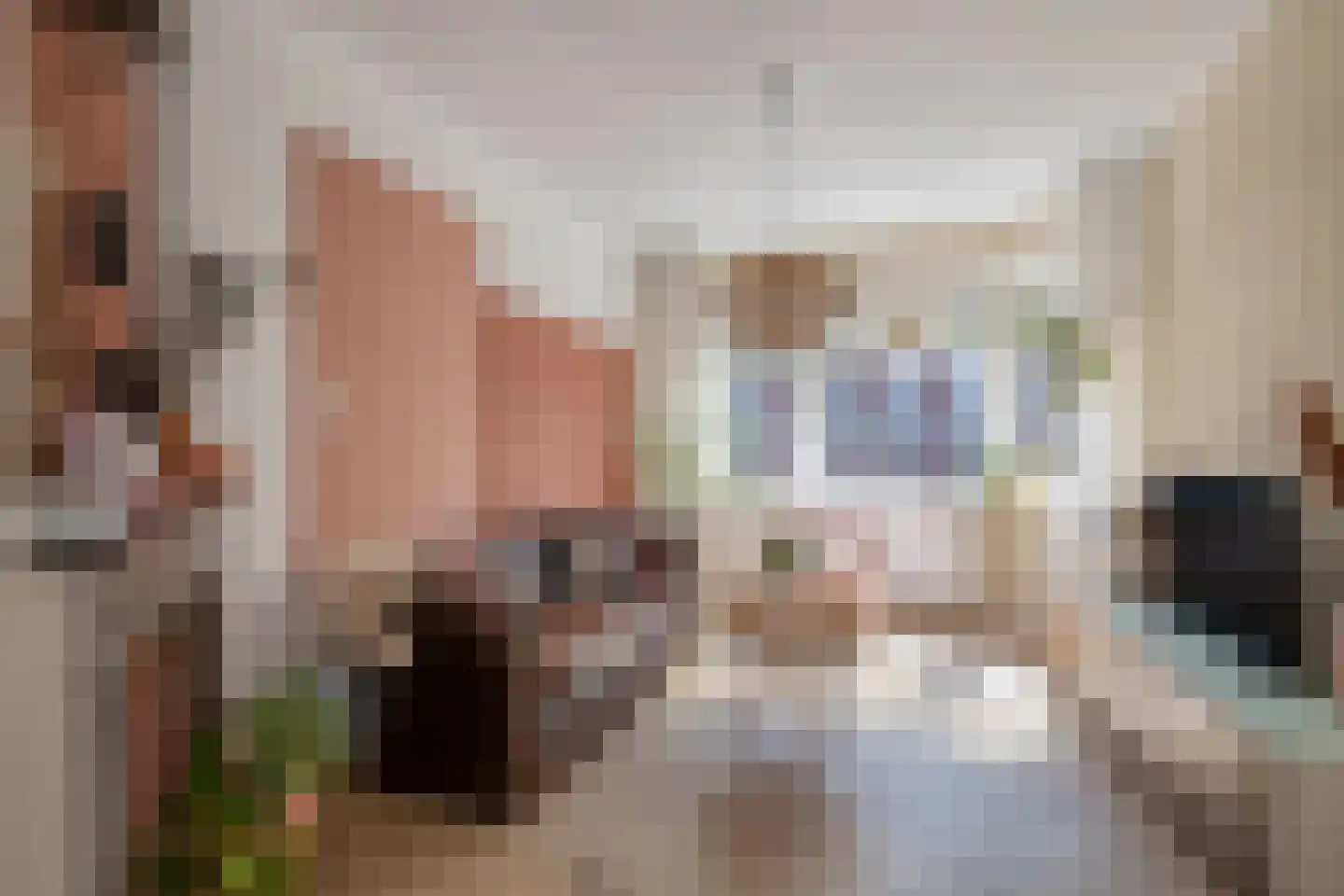 Doelenstraat 110 Delft thumbnail 6