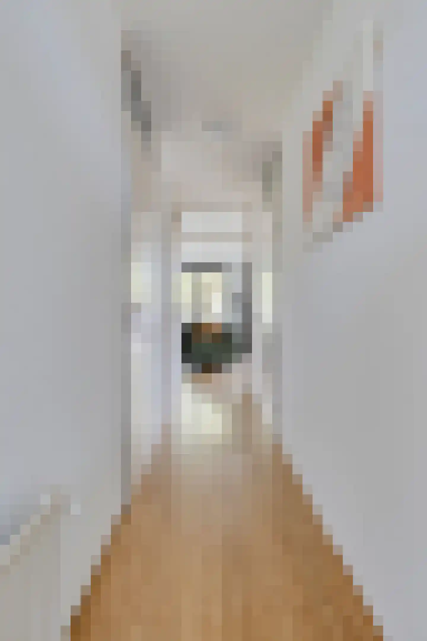Doelenstraat 13 Tilburg thumbnail 11