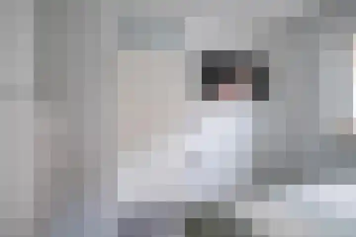 Doelenstraat 14 Huissen thumbnail 23