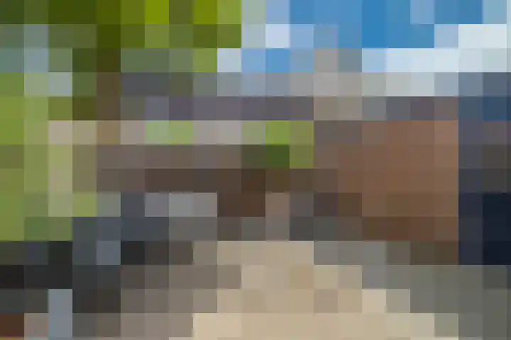 Doelenstraat 14 Huissen thumbnail 4