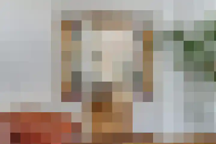 Doelenstraat 15 Hilvarenbeek thumbnail 10