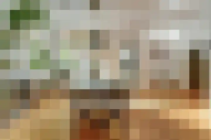 Doelenstraat 15 Hilvarenbeek thumbnail 11